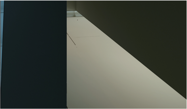 【愛知県豊田市】豊田市美術館で企画展「玉山拓郎:FLOOR」 を開催しています!