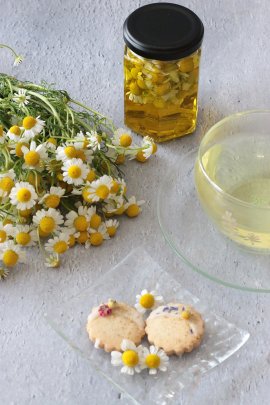 カモミール