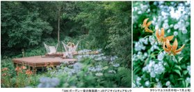 ROKKO森の音ミュージアムSIKIガーデンSummer Seasonアジサイ、バラ、ユリに彩られた避暑地のナチュラルガーデン2025年6月21日（土）～8月22日（金）
