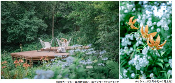 ROKKO森の音ミュージアム SIKIガーデンSummer Season アジサイ、バラ、ユリに彩られた避暑地のナチュラルガーデン 2025年6月21日（土）～8月22日（金）
