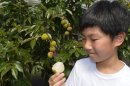 子供も収穫体験に参加できます 子供も収穫体験に参加できます