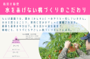 栽培のこだわり