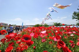 花とふれあいまつり