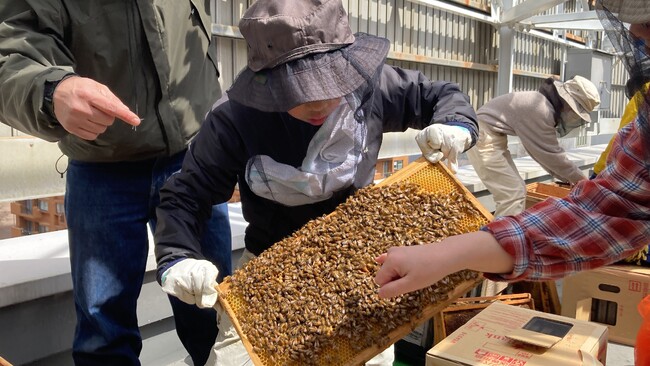 【都市型養蜂プロジェクト】「サッポロ・ミツバチ・プロジェクト」に参画し、自社施設の屋上空間を提供しました