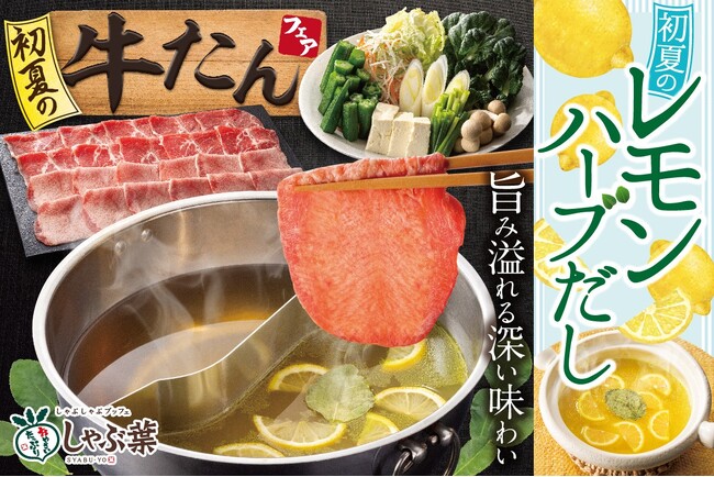 しゃぶ葉で昨年約320万皿提供！大ヒット“牛たん食べ放題”復活！新登場“仙台風コクまろ味噌だし”＆“レモンハーブだし”で楽しもう