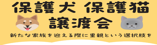 保護犬・保護猫の譲渡活動が拡大中！2025年５月以降　綿半店舗開催の譲渡会スケジュールが決定！