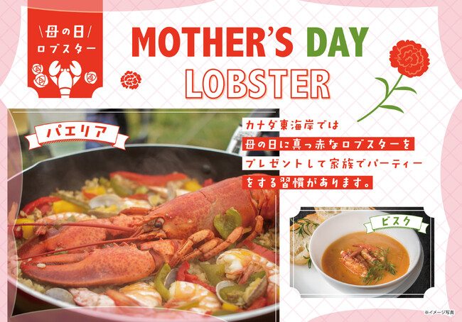 母の日の新提案！「トップバリュ カナダ産ＭＳＣ認証 ボイルアメリカンロブスター」を限定２７店舗で販売！