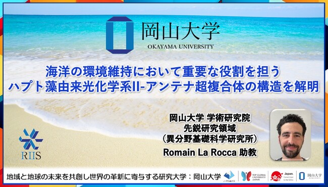 【岡山大学】海洋の環境維持において重要な役割を担うハプト藻由来光化学系II-アンテナ超複合体の構造を解明