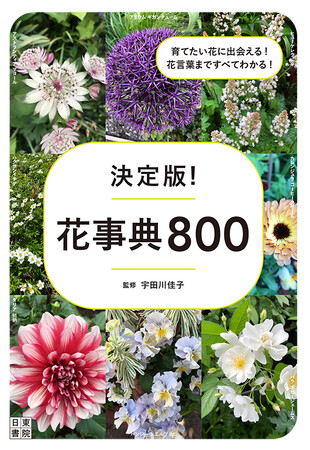 日本の庭で扱いやすい花、人気の花など最新800種を掲載。ハンディサイズの手軽な保存版で、花好きや散歩好きに嬉しい一冊。『決定版! 花事典800』が本日発売