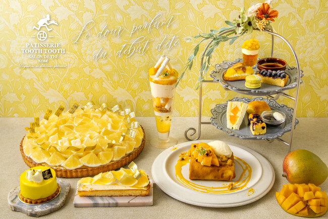 柑橘、マンゴー、チェリー、抹茶。旬を楽しむ初夏のごちそうスイーツが登場！神戸の洋菓子屋「PATISSERIE TOOTH TOOTH」