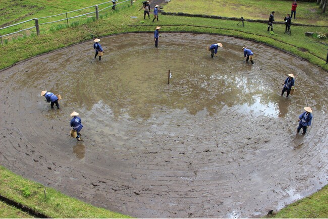【飛騨高山・岐阜県高山市】車田で田植え