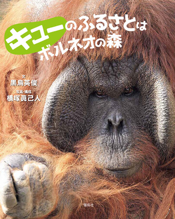 地球上から消えつつある、オランウータンの森。写真絵本『キューのふるさとはボルネオの森』5月12日発売