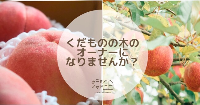 1本の木から広がるオーナー制度物語。桃は6月30日、りんごは9月30日まで受付中！