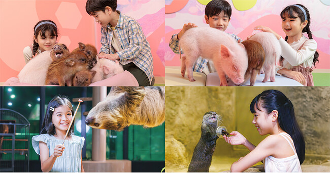 【DMMかりゆし水族館】開業5周年記念！沖縄県豊見城市民への感謝を込めた「豊見城市民感謝Day～開業記念割～」を開催