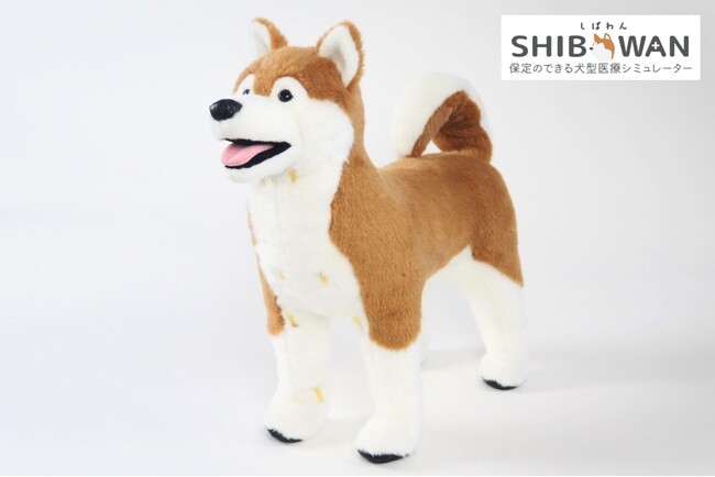 【倉敷芸術科学大学と株式会社anifullの共同開発】保定のできる犬型医療シミュレーター「しばわん」 2025年5月新発売