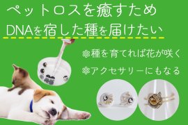 クラウドファンディング クラウドファンディング