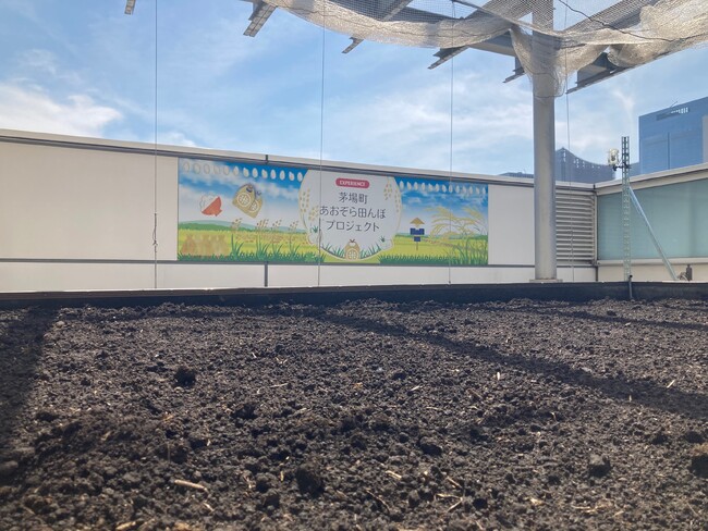 茅場町あおぞら田んぼプロジェクト6年目　阪本小学校の５年生と一緒に米づくり　5/29（木）田植え