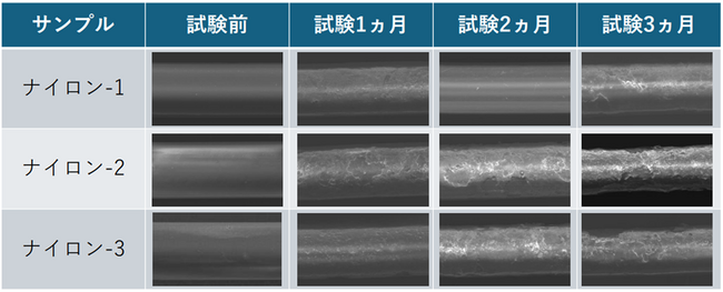 これまで分解しないとされていた市販の釣り糸が海洋で生分解することを発見しました