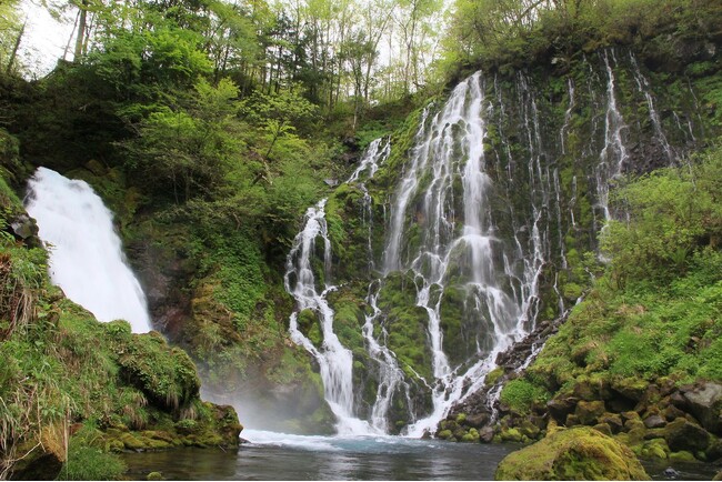 【飛騨高山・岐阜県高山市】乗鞍山麓五色ヶ原の森オープン