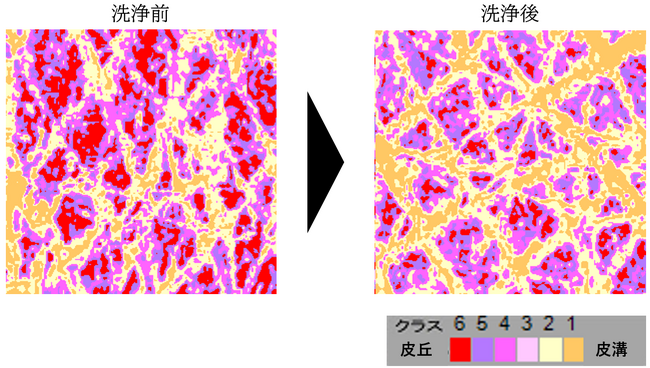 皮膚洗浄後の肌のキメを改善する「保水コンプレックス」を開発 - 社会基盤工学分野の技術を用いて微細な洗浄後の肌変化を可視化