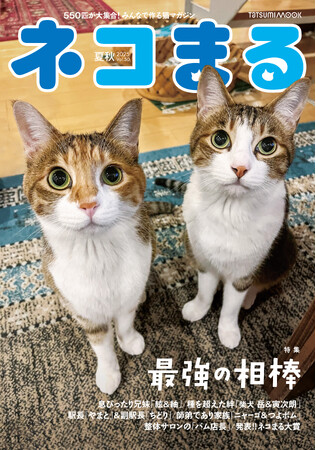 猫と猫、猫と犬、猫と人。ときに種を超えた最強の相棒たちが登場！ 『ネコまる』2025夏秋号 Vol.50が5月21日（水）に発売