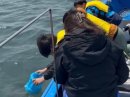 水中観察メガネで確認 水中観察メガネで確認