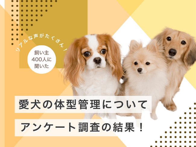 【飼い主400人に調査】愛犬の体型管理に関する驚きのアンケート結果!