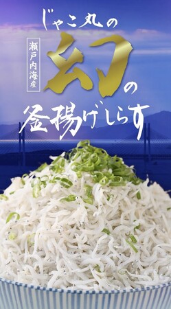 地元の人しか食べられなかった「じゃこ丸の幻の釜揚げしらす」。炊き立てをそのまま、冷凍しないで配送。今年初獲れのしらす販売開始。
