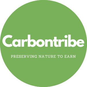 【世界初】カーボンクレジットの再発明へ──Carbontribe Labs、AI×ブロックチェーンによる「Verified Impact Asset」の国際標準化に成功