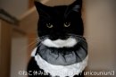 ねこ休み展 展示作品：うにちゃん