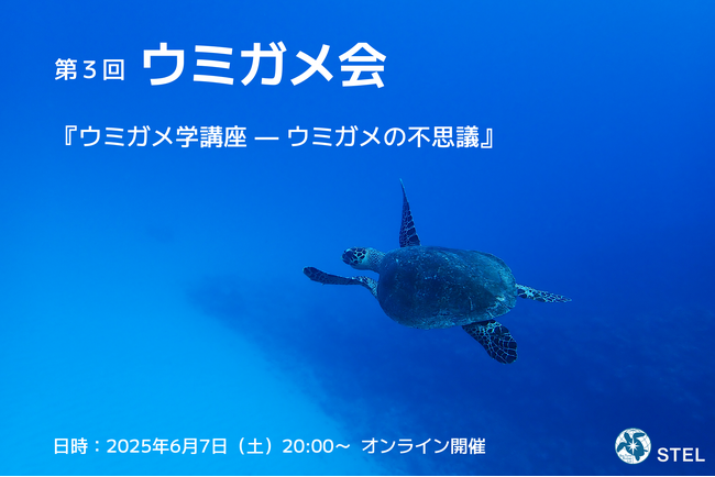 悠久の時を生きる、大海原の旅人の不思議を一緒に探ろう！　「ウミガメ会」6月7日（土）オンライン開催