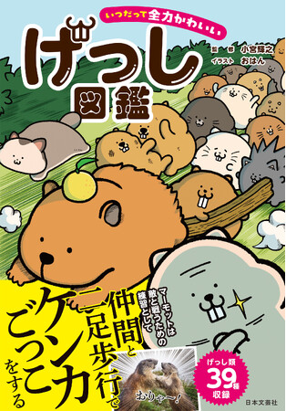 マーモット、カピバラ、ハムスター、デグー！今大注目の超絶かわいいげっし類の驚きの生態を集めました！『いつだって全力かわいい げっし図鑑』5/22発売