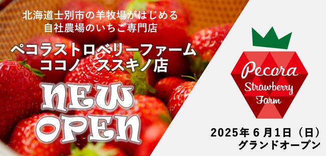 北海道士別市の羊牧場がはじめる自社農場のいちご専門店『ペコラストロベリーファーム』がココノ ススキノにオープン！！