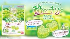 酢ッキリ、さわやかなグミが新登場！独自の『パウダースポット』で爽快感とフルーツビネガー風味の果実感を味わえる