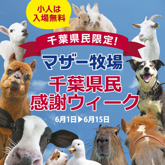 【千葉県民のみなさま必見！】千葉県在住のこどもはマザー牧場の入場料が無料に！オトクが嬉しい「千葉県民感謝ウィーク」6月1日よりスタート！