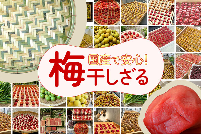 【今年初！期間限定10％OFF】梅干しづくりに大活躍の国産竹ざる・えびら