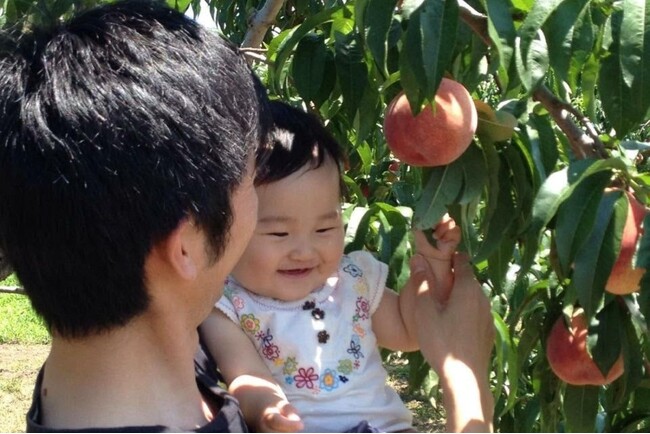 土用の日に桃?！採って食べて、浸かって、桃づくし！７月土用の日限定の「桃の葉湯」を開催