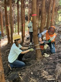 神奈川県と大阪府の「チューリッヒの森」にて81名の社員とその家族によるボランティア活動を実施