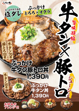 初夏の不調に喝！肉量約170g・総重量500g超えのすたみな満点ぶっかけ肉丼！5/23～全国の伝説のすた丼屋で『ぶっかけ牛タン豚トロ丼』発売！