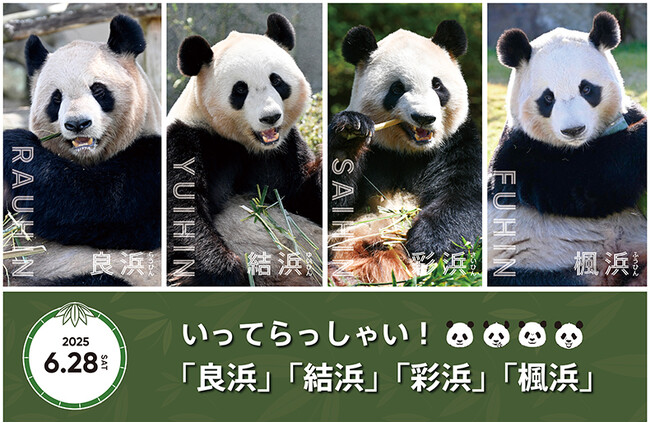 ４頭のジャイアントパンダの帰国日が決定しました