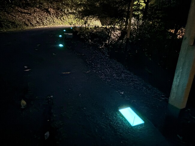 暗闇を彩る“蓄光の水晶”──金刀比羅宮で始まる、神社初のテクノロジー暗闇対策と空間演出