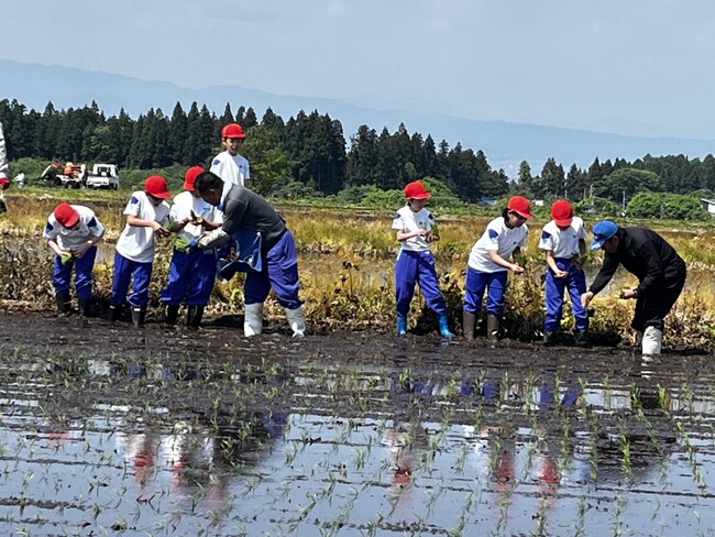 【福島県磐梯町】磐梯第一小学校で田植え体験を実施します!