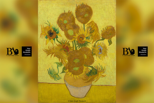 A BATHING APE(R)︎ × Van Gogh Museum