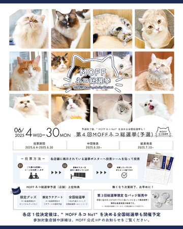 第4回「MOFF ネコ総選挙」の予選開催決定！総勢760頭！？