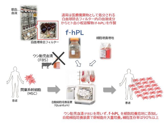 廃棄血液から再生医療に重要な血小板溶解物の製造に成功