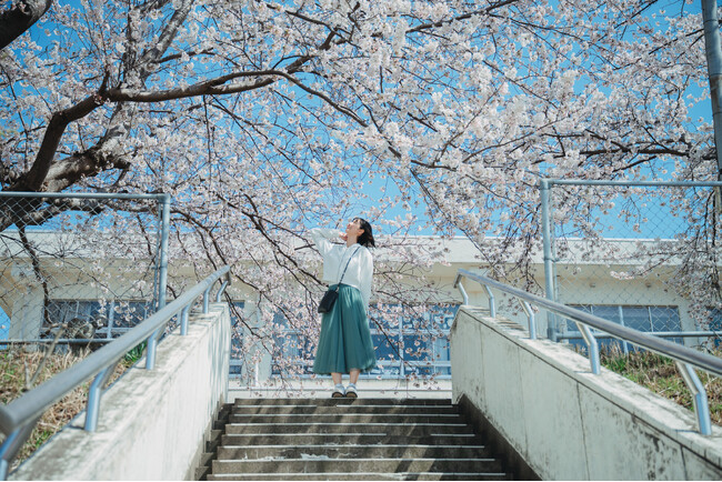 【企画連載 Vol.1】あわら色｜写真家 tomosaki が切り取る 10 の情景