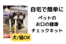 お口の健康チェックキットとは