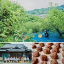 和歌山県みなべ町の梅農家「梅ボーイズ」