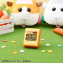 きゃらタイマー PUI PUI モルカー(イメージ)