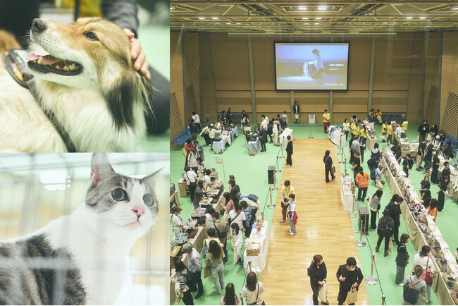 「パナソニック保護犬猫譲渡会2025」開催イベントレポート